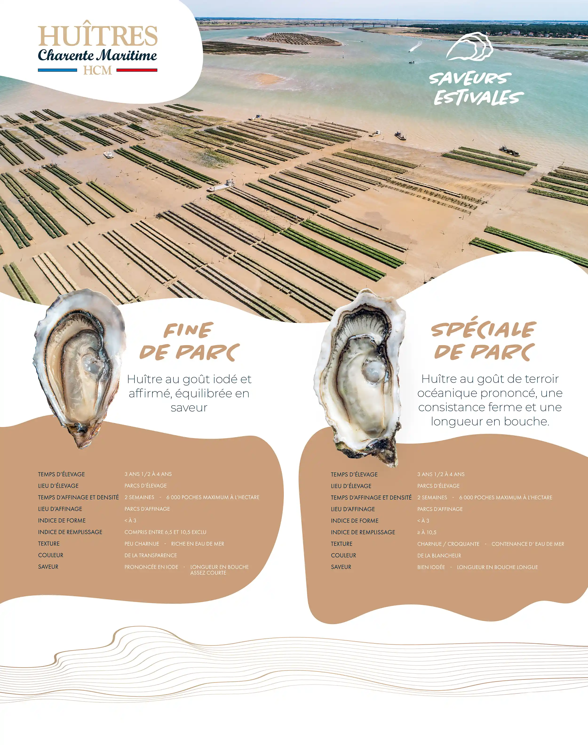 campagne-ete-huitres-charente-maritime