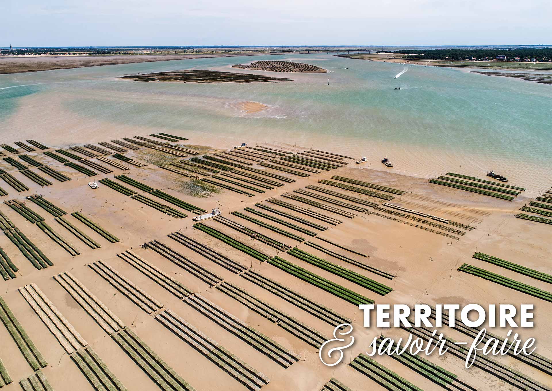 visuel Huîtres Charente-Maritime 