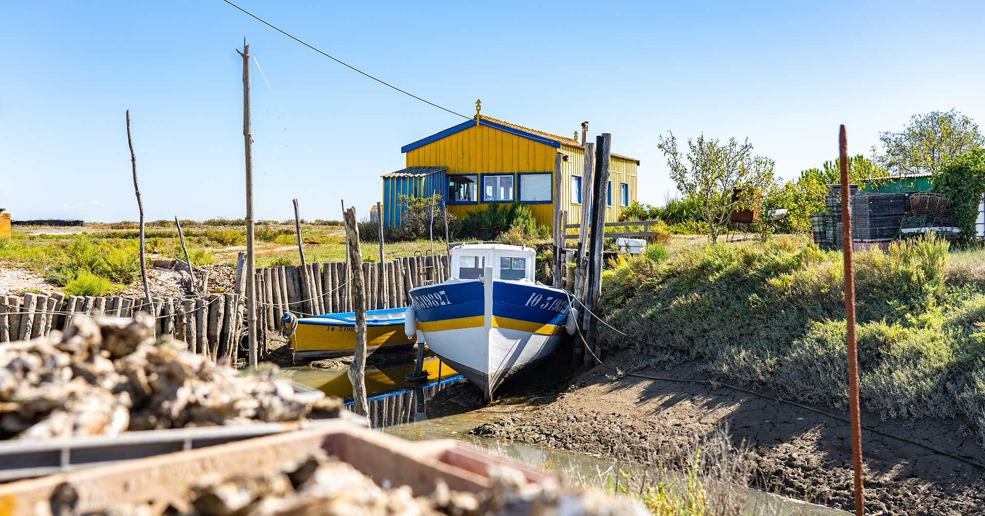 Découverte de l'Île d'Oléron et du bassin de Marennes en Charente-Maritime