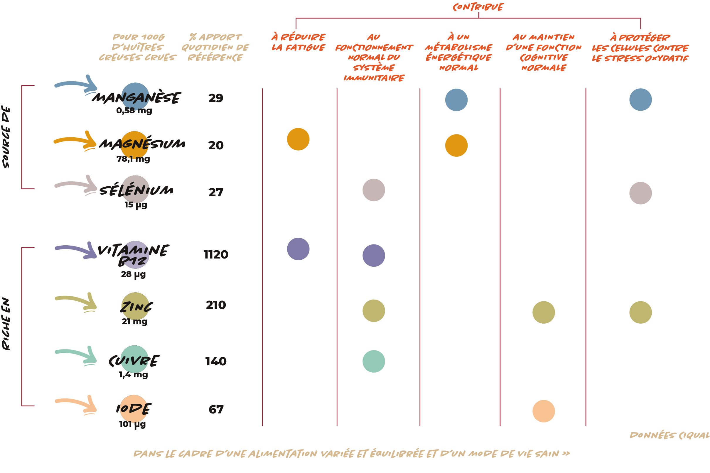 valeurs nutritionnelles huîtres charente maritme